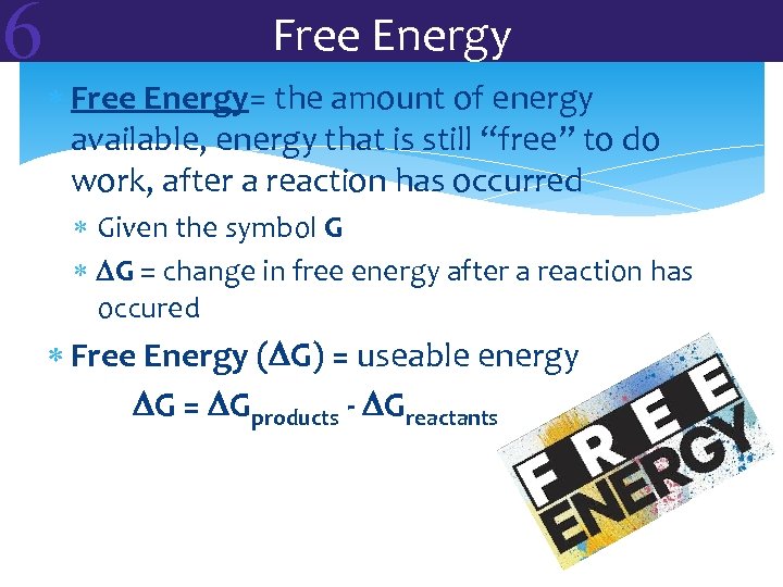 6 Free Energy= the amount of energy available, energy that is still “free” to