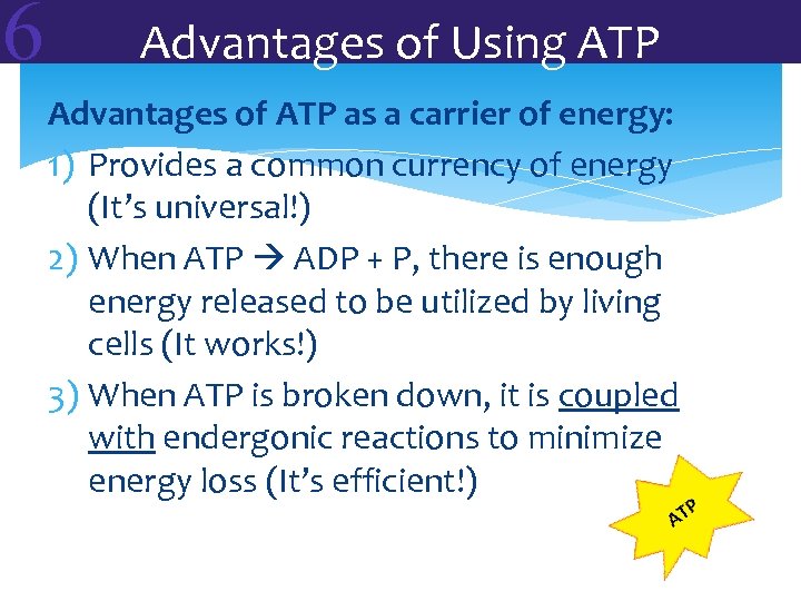 6 Advantages of Using ATP Advantages of ATP as a carrier of energy: 1)