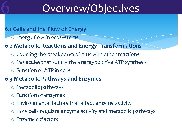 6 Overview/Objectives 6. 1 Cells and the Flow of Energy o Energy flow in