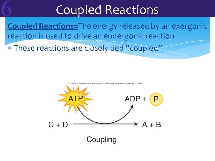 6 Coupled Reactions=The energy released by an exergonic reaction is used to drive an