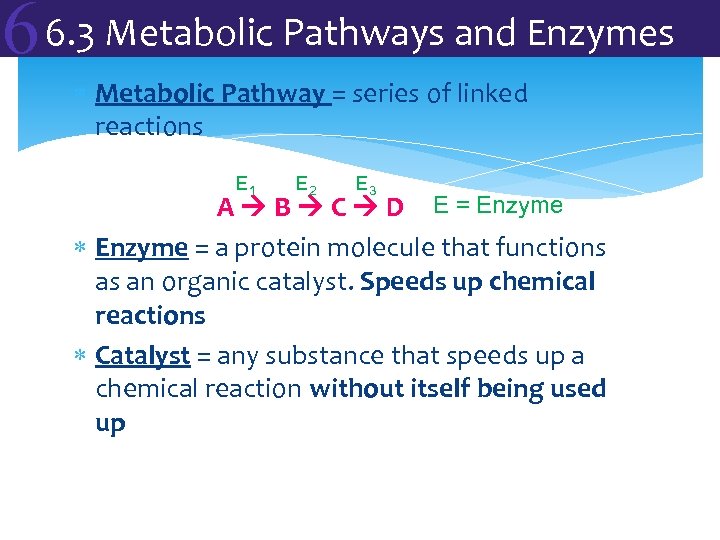 6 6. 3 Metabolic Pathways and Enzymes Metabolic Pathway = series of linked reactions