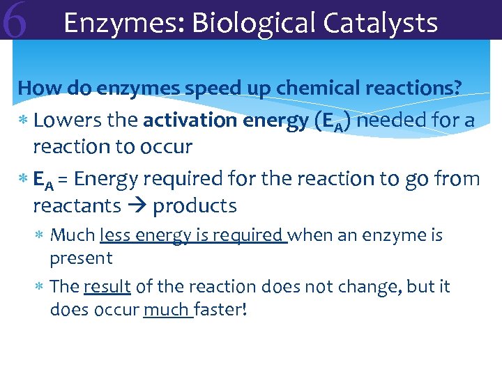 6 Enzymes: Biological Catalysts How do enzymes speed up chemical reactions? Lowers the activation