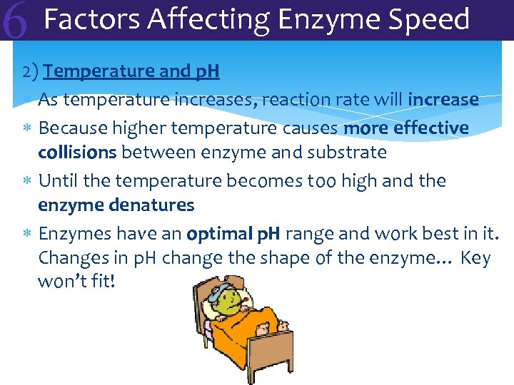 6 Factors Affecting Enzyme Speed 2) Temperature and p. H As temperature increases, reaction