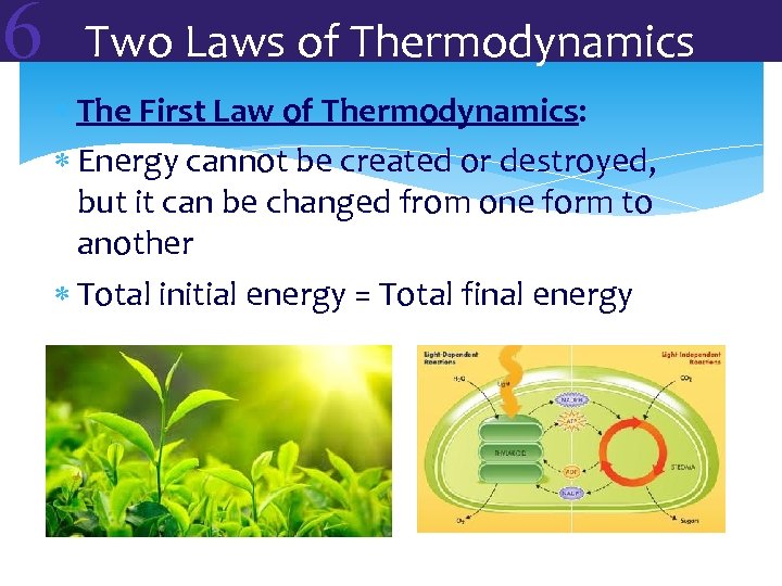 6 Two Laws of Thermodynamics The First Law of Thermodynamics: Energy cannot be created