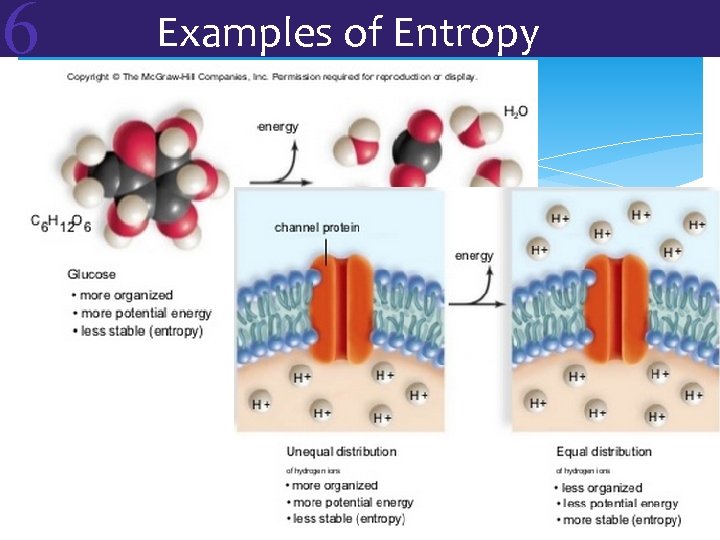 6 Examples of Entropy 