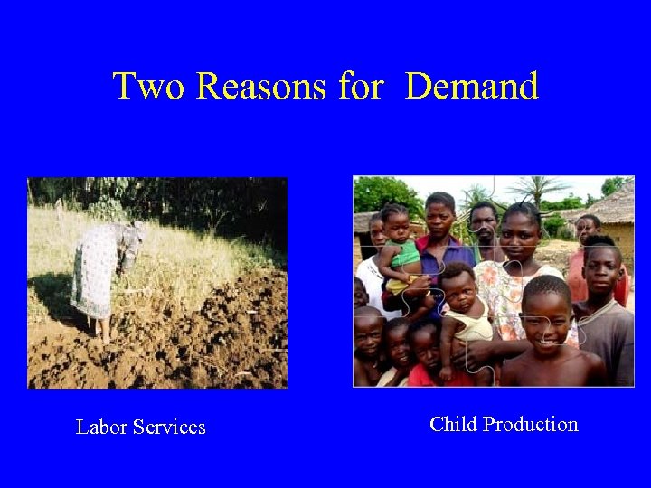 Two Reasons for Demand Labor Services Child Production 