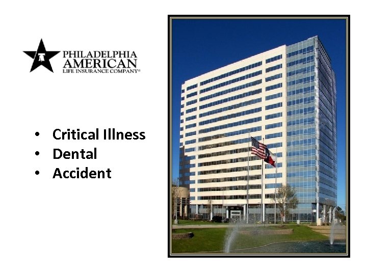  • Critical Illness • Dental • Accident 