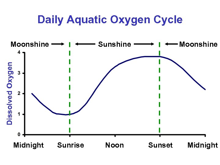 Daily Aquatic Oxygen Cycle Sunshine Moonshine Dissolved Oxygen Moonshine Midnight Sunrise Noon Sunset Midnight