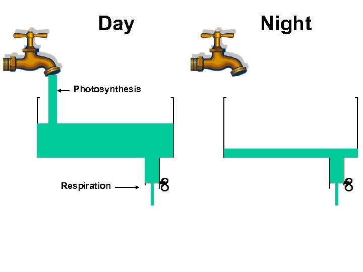 Day Night Photosynthesis ∞ ∞ Respiration 