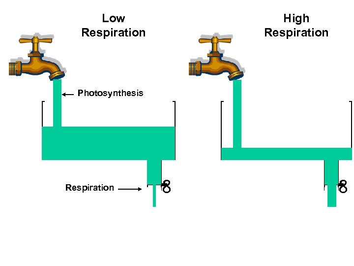 Low Respiration High Respiration Photosynthesis ∞ ∞ Respiration 