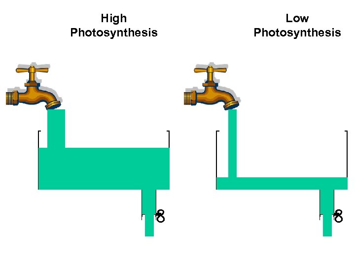 High Photosynthesis Low Photosynthesis ∞ ∞ 