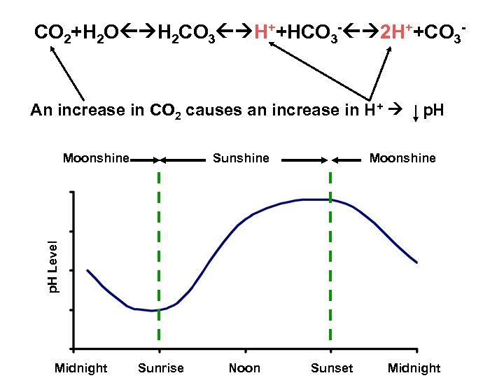 CO 2+H 2 O H 2 CO 3 H++HCO 3 - 2 H++CO 3