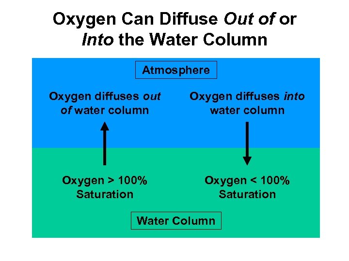 Oxygen Can Diffuse Out of or Into the Water Column Atmosphere Oxygen diffuses out