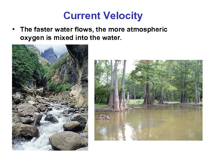 Current Velocity • The faster water flows, the more atmospheric oxygen is mixed into