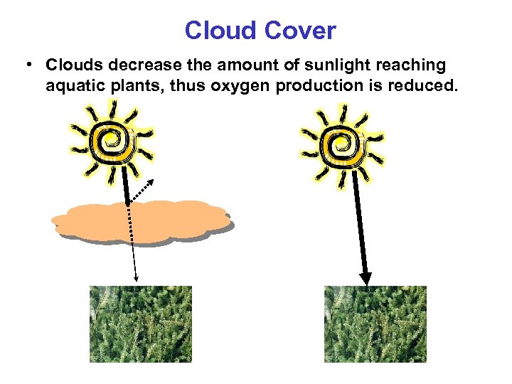 Cloud Cover • Clouds decrease the amount of sunlight reaching aquatic plants, thus oxygen