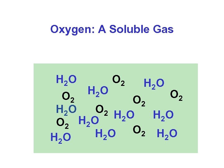 Oxygen: A Soluble Gas H 2 O O 2 O 2 H 2 O