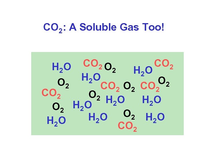 CO 2: A Soluble Gas Too! CO 2 O CO 2 2 H 2