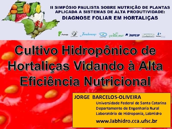 Cultivo Hidropônico de Hortaliças Vidando à Alta Eficiência Nutricional JORGE BARCELOS-OLIVEIRA Universidade Federal de