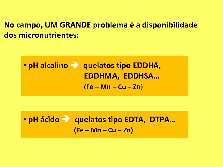 No campo, UM GRANDE problema é a disponibilidade dos micronutrientes: • p. H alcalino