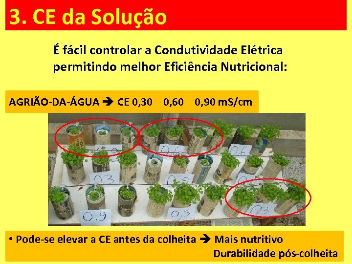 3. CE da Solução É fácil controlar a Condutividade Elétrica permitindo melhor Eficiência Nutricional: