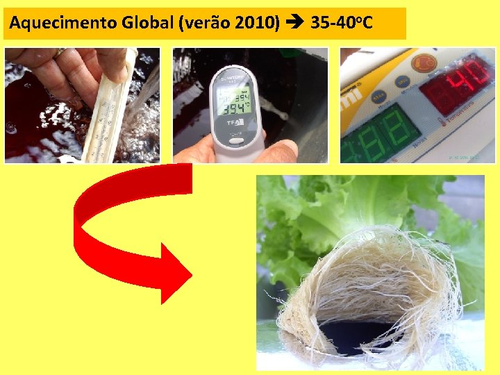 Aquecimento Global (verão 2010) 35 -40 o. C 