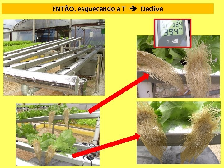 ENTÃO, esquecendo a T Declive 