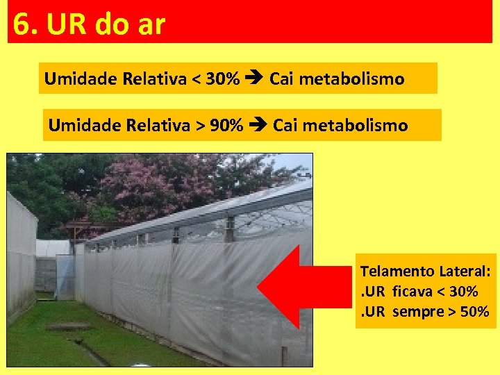 6. UR do ar Umidade Relativa < 30% Cai metabolismo Umidade Relativa > 90%