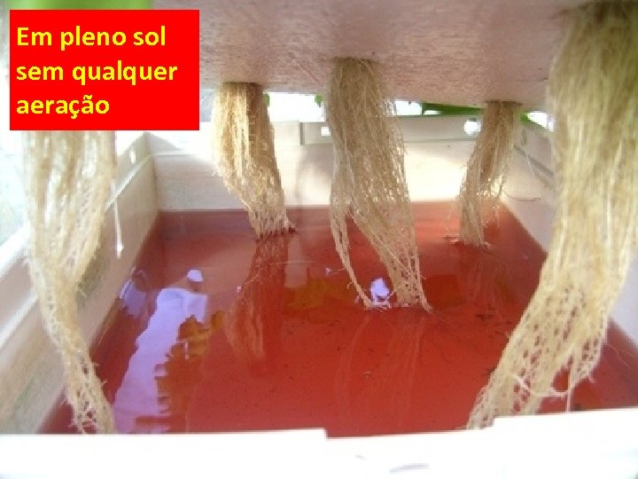 Em pleno sol sem qualquer aeração 