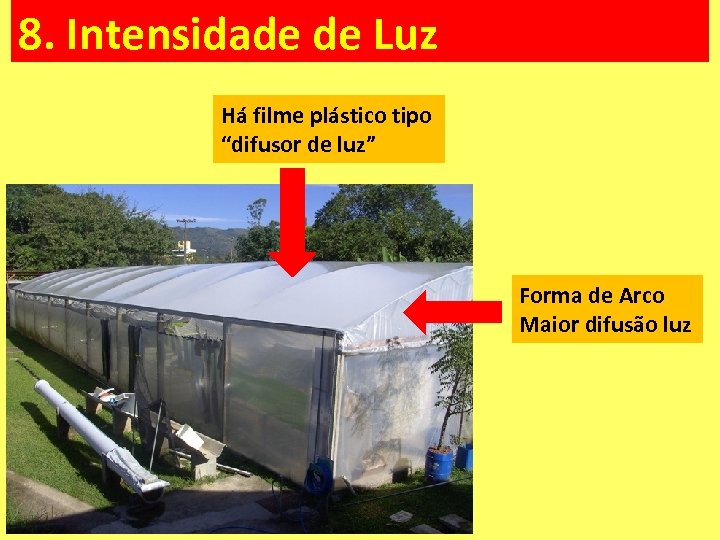 8. Intensidade de Luz Há filme plástico tipo “difusor de luz” Forma de Arco
