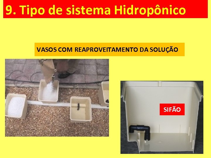 9. Tipo de sistema Hidropônico VASOS COM REAPROVEITAMENTO DA SOLUÇÃO SIFÃO 