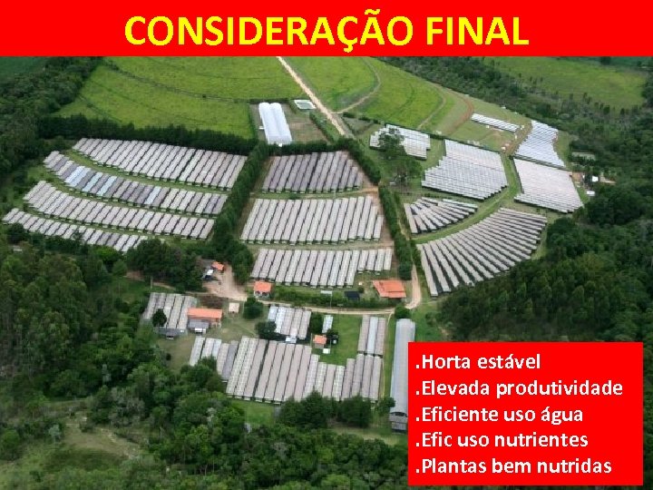 CONSIDERAÇÃO FINAL . Horta estável. Elevada produtividade. Eficiente uso água. Efic uso nutrientes. Plantas