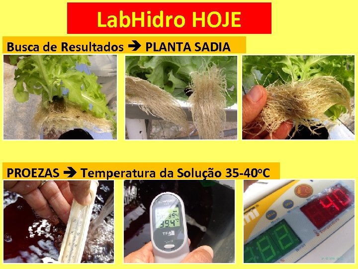 Lab. Hidro HOJE Busca de Resultados PLANTA SADIA PROEZAS Temperatura da Solução 35 -40
