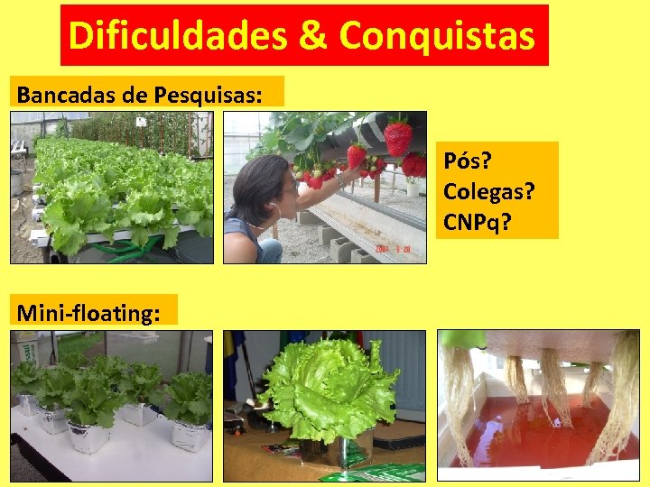 Dificuldades & Conquistas Bancadas de Pesquisas: Pós? Colegas? CNPq? Mini-floating: 