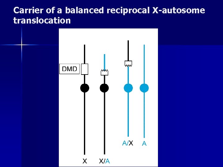 Carrier of a balanced reciprocal X-autosome translocation 