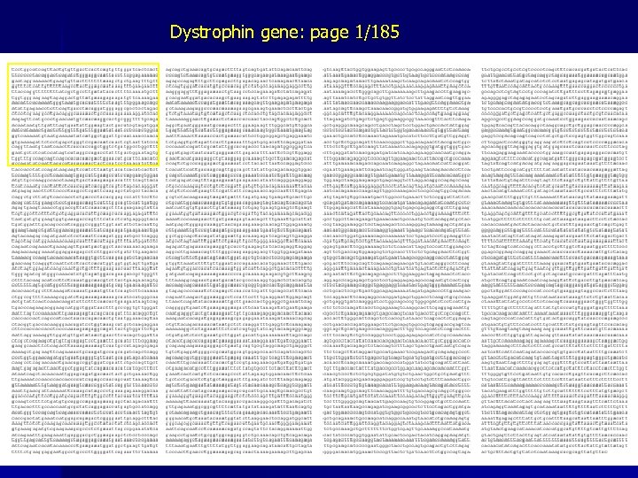 Dystrophin gene: page 1/185 