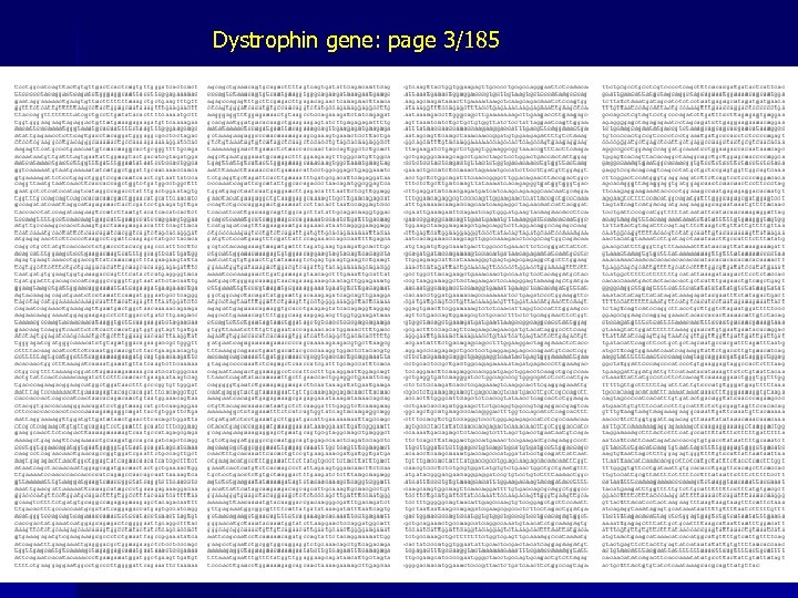 Dystrophin gene: page 3/185 