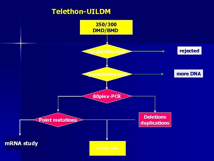Telethon-UILDM 250/300 DMD/BMD Qualitative test rejected Quantitative test more DNA 80 plex-PCR Deletions duplications