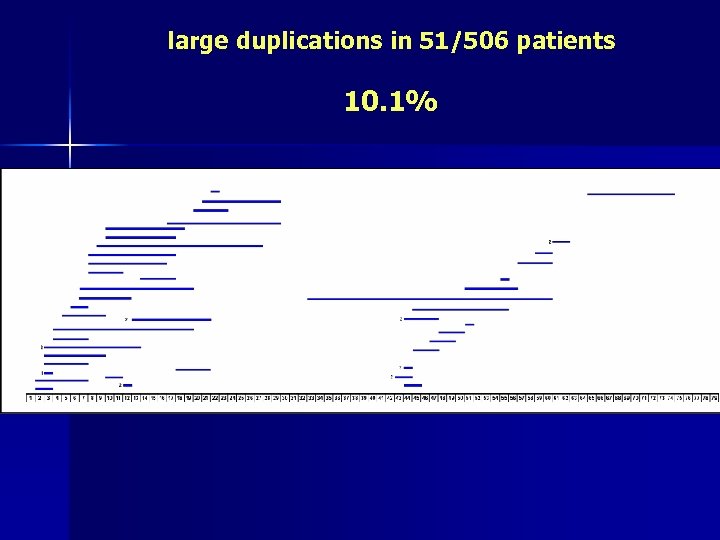large duplications in 51/506 patients 10. 1% 