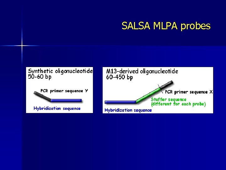 SALSA MLPA probes 