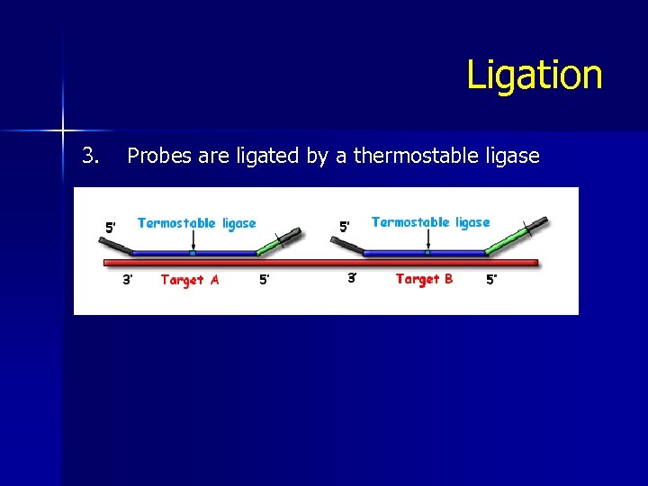 Ligation 3. Probes are ligated by a thermostable ligase 