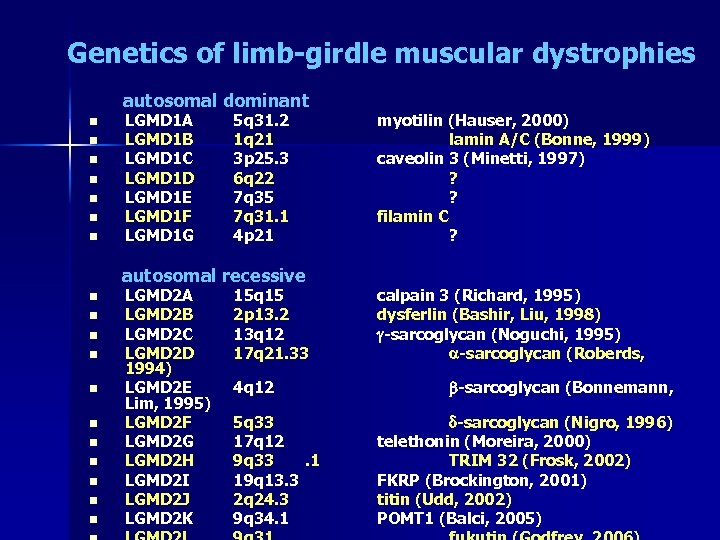 Genetics of limb-girdle muscular dystrophies autosomal dominant n n n n LGMD 1 A