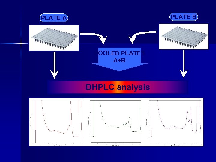 PLATE B PLATE A POOLED PLATES A+B DHPLC analysis 