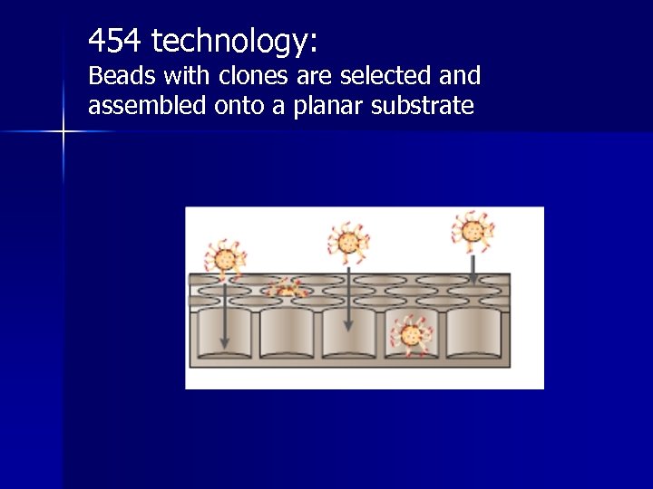 454 technology: Beads with clones are selected and assembled onto a planar substrate 