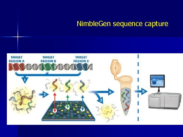 Nimble. Gen sequence capture 