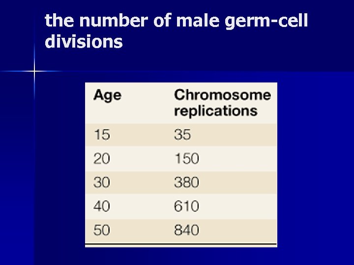 the number of male germ-cell divisions 