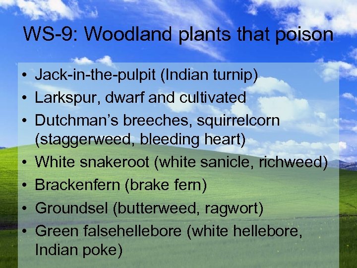 WS-9: Woodland plants that poison • Jack-in-the-pulpit (Indian turnip) • Larkspur, dwarf and cultivated