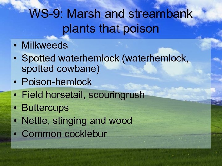 WS-9: Marsh and streambank plants that poison • Milkweeds • Spotted waterhemlock (waterhemlock, spotted