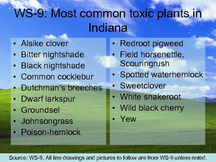 WS-9: Most common toxic plants in Indiana • • • Alsike clover Bitter nightshade