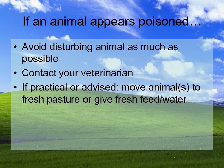 If an animal appears poisoned… • Avoid disturbing animal as much as possible •