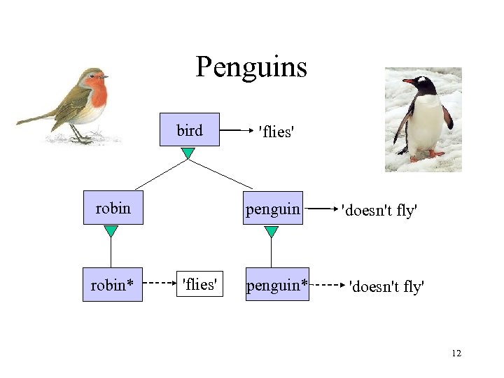 Penguins bird robin* 'flies' penguin* 'doesn't fly' 12 
